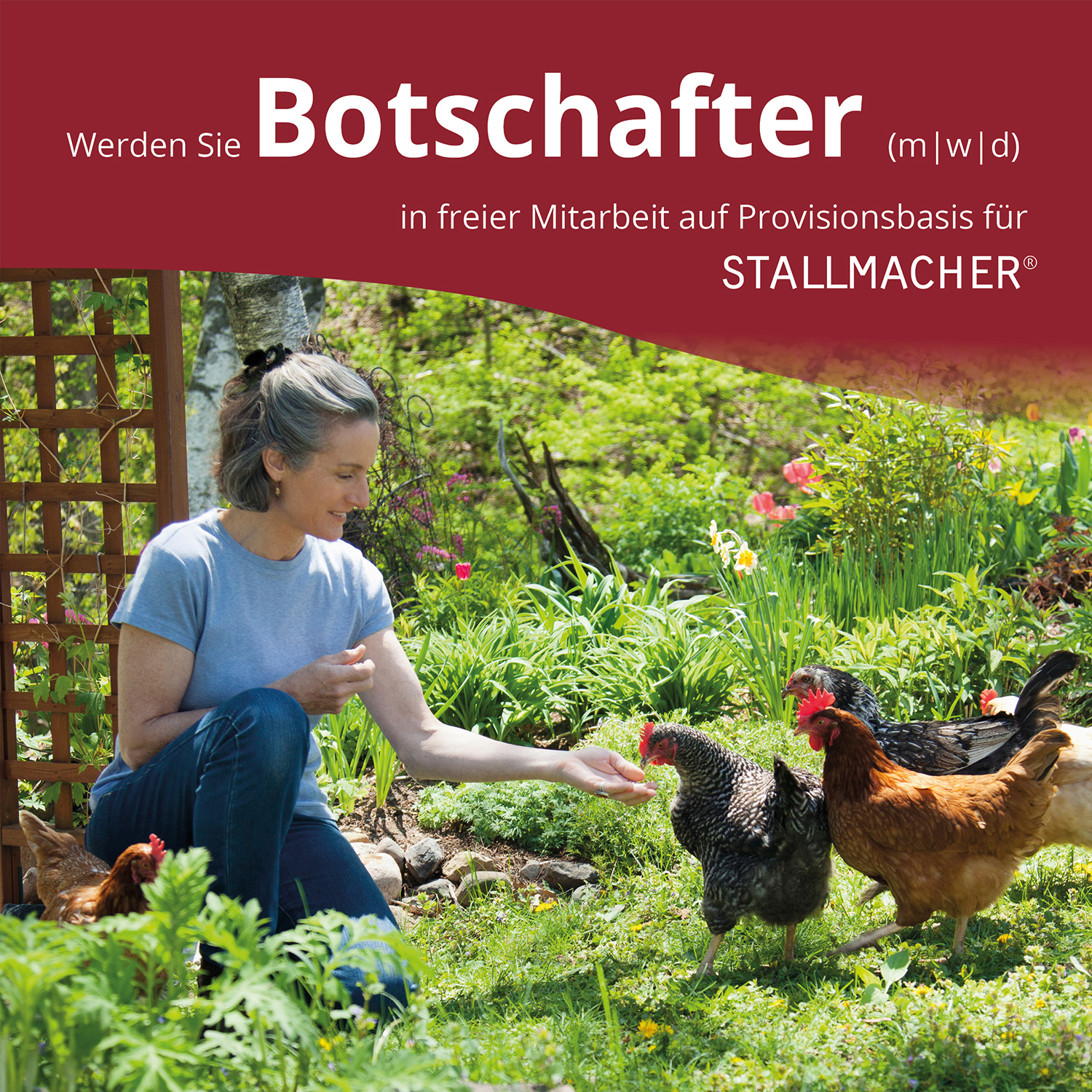 Botschafter Botschafter für mobile Hühnerställe